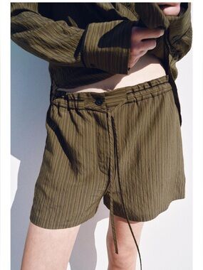 Zara ZW Collection Jacquard Striped Shorts